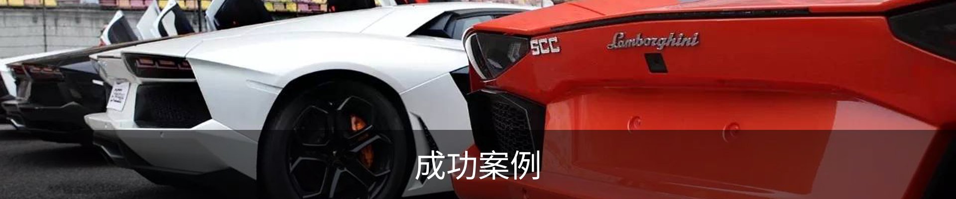 成功案例
